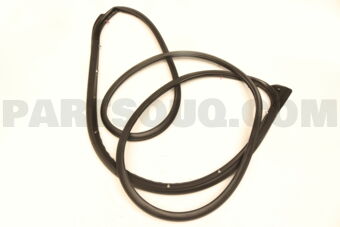 678620K121 WEATHERSTRIP  FR DOO