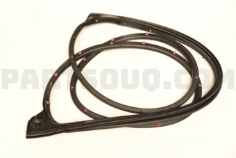 678620K121 WEATHERSTRIP  FR DOO