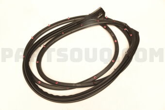 678620K121 WEATHERSTRIP  FR DOO