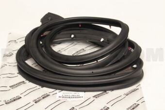 678620K190 WEATHERSTRIP, FR