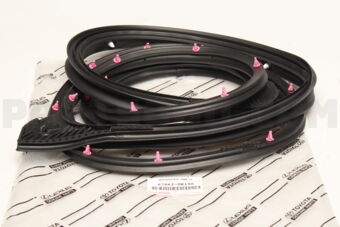 678620K190 WEATHERSTRIP, FR
