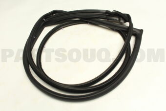 6786233080 WEATHERSTRIP, FR