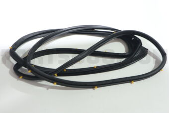 67862WC006 WEATHERSTRIP, FR DOO