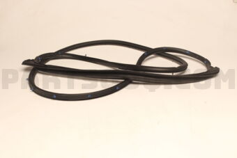 678710K081 WEATHERSTRIP  RR DOO