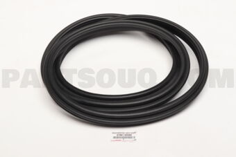 678810D080 WEATHERSTRIP, BACK DOOR