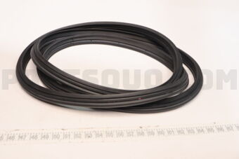 678810K050 WEATHERSTRIP, BACK