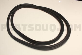 6788142050 WEATHERSTRIP, BACK DOOR