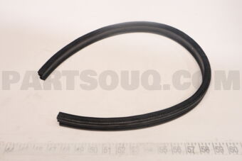 67887BZ030 WEATHERSTRIP, SLIDE