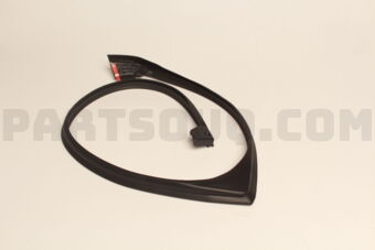6788860031 WEATHERSTRIP, RR