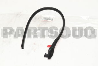 6789647011 WEATHERSTRIP, RR