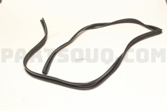6814190A03 RUN, FRONT DOOR GLASS