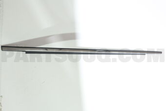 68163BZ191 WEATHERSTRIP, RR DOO