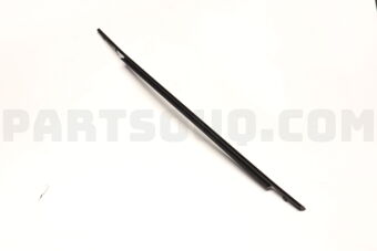 68164BZ260 WEATHERSTRIP  RR DOO
