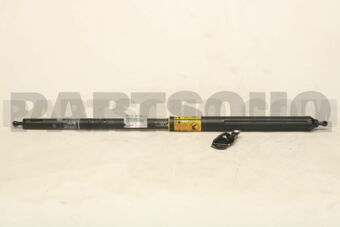 6865009010 CHECK SET  BACK DOOR