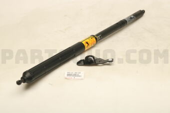 6865009010 CHECK SET  BACK DOOR
