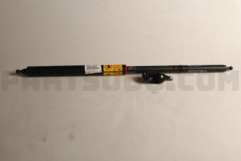 6865009020 CHECK SET, BACK DOOR