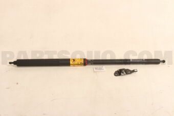 6865009030 CHECK SET  BACK DOOR