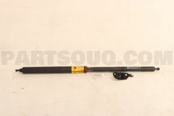 6865009030 CHECK SET  BACK DOOR
