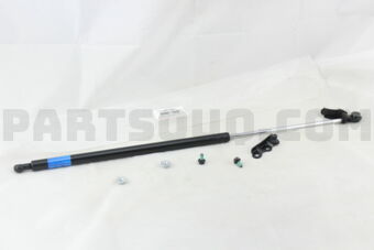 6896019585 STAY ASSY, BACK DOOR, LH