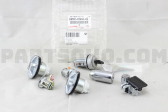 690056B493C0 CYLINDER SET, LOCK