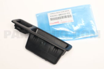 69291KK010C0 HANDLE, BACK DOOR