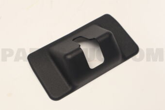 6932160040 COVER, BACK DOOR