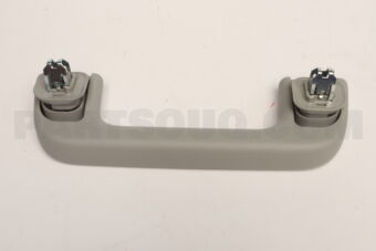 7461002170B0 GRIP ASSY, ASSIST
