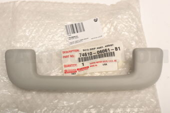 7461006061B1 GRIP ASSY, ASSIST