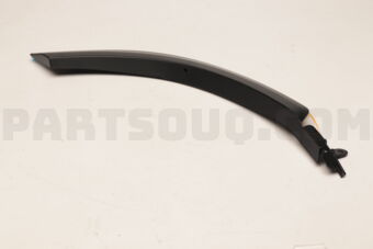 7506178011 MOULDING SET
