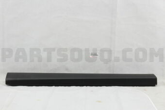 7507342020 MOULDING SUB-ASSY