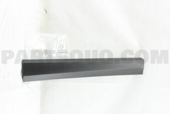 7507442020 MOULDING SUB-ASSY