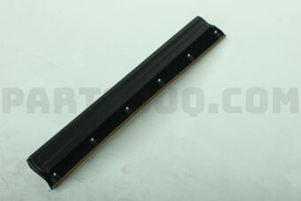 7507442021 MOULDING SUB-ASSY
