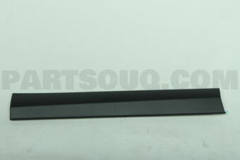 7507442021 MOULDING SUB-ASSY