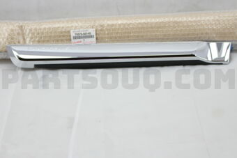 7507560140 MOULDING SUB-ASSY