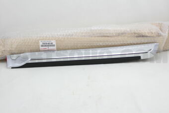 7507660140 MOULDING SUB-ASSY