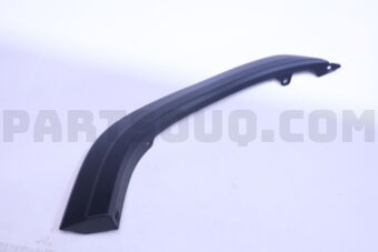 75077WY010 MOULDING SUB-ASSY