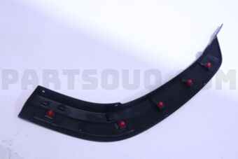 75077WY010 MOULDING SUB-ASSY