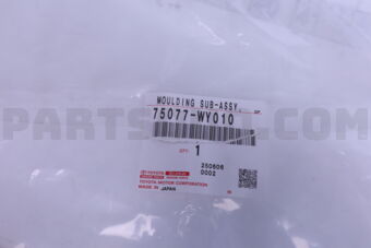 75077WY010 MOULDING SUB-ASSY
