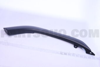 75077WY010 MOULDING SUB-ASSY