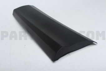 7507842020 MOULDING SUB-ASSY
