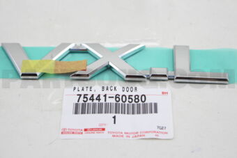 7544160580 PLATE, BACK DOOR NAME