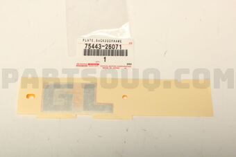 7544326071 PLATE, BACK DOOR NAME, NO.3