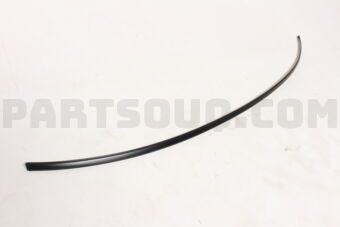 755730K060 MOULDING, BACK