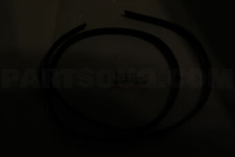 7557542030 MOULDING, BACK WINDOW, LOWER