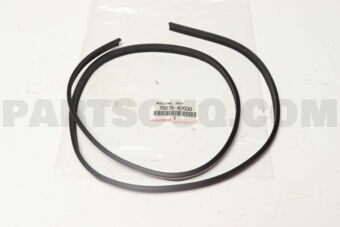7557542030 MOULDING, BACK WINDOW, LOWER