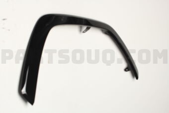7560142170C0 MOULDING SUB-ASSY