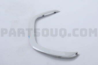 7560160042A1 Toyota MOULDING SUB-ASSY