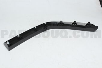 7560542160 MOULDING SUB-ASSY