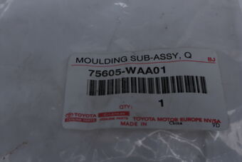 75605WAA01 MOULDING SUB-ASSY