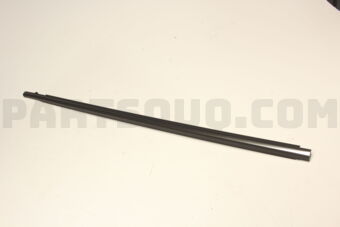 7572010090 MOULDING ASSY, FR